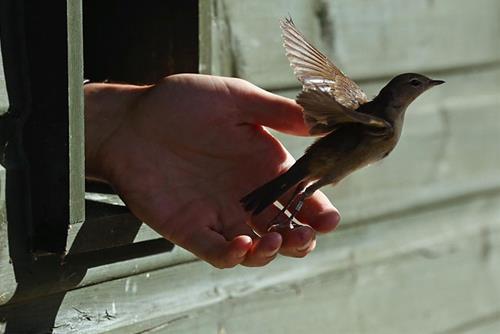 Đức Phật nói về 10 công đức của việc phóng sinh thực sự rất nhiệm màu!