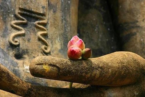 Câu chuyện quả báo khiến Hoàng thái hậu bị mù một mắt chỉ vì một lời thề