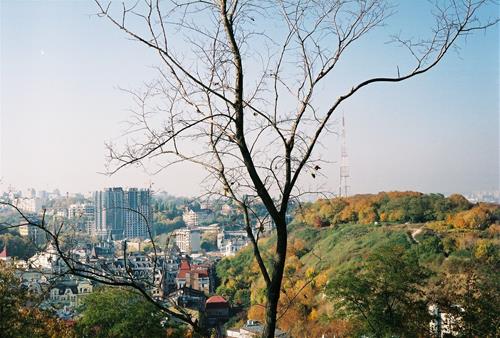 Tử vi Chủ Nhật ngày 12/11/2023 của 12 cung hoàng đạo: Sư Tử nản, Hổ Cáp giàu đam mê