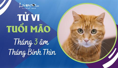 Tử vi tháng 3/2023 tuổi Mão âm lịch: Trước nghịch sau thuận, càng về cuối tháng càng tốt đẹp