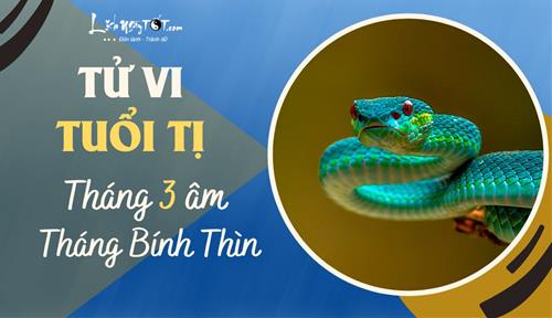 Tử vi tháng 3/2023 tuổi Tị âm lịch: Đón giai đoạn phát triển quan trọng