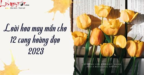 Loài hoa may mắn cho 12 cung hoàng đạo 2023: Vừa được TÌNH lại có TIỀN