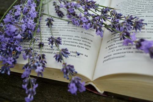 Tử vi thứ 3 ngày 14/3/2023 của 12 con giáp: Tý sa sút, Ngọ hào hứng