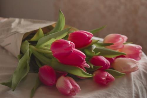 Tử vi thứ 5 ngày 23/2/2023 của 12 con giáp: Dần thảnh thơi, Tý mâu thuẫn