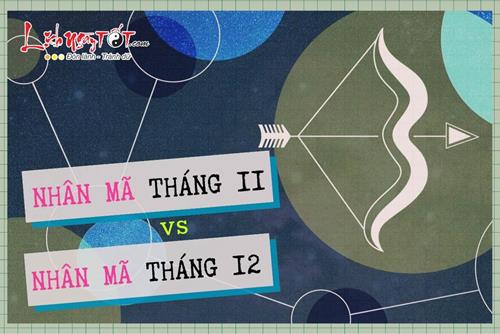 So sánh Nhân Mã tháng 11 và Nhân Mã tháng 12: Tưởng giống nhưng lại rất khác!