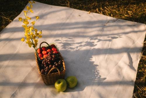 Tử vi thứ 7 ngày 25/2/2023 của 12 con giáp: Dần quyết tâm, Ngọ gặp quý nhân