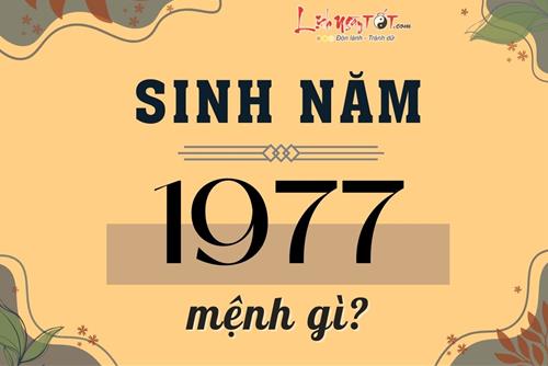 Sinh năm 1977 mệnh gì? Lựa chọn màu sắc, hướng nhà ra sao để gặp nhiều may mắn?