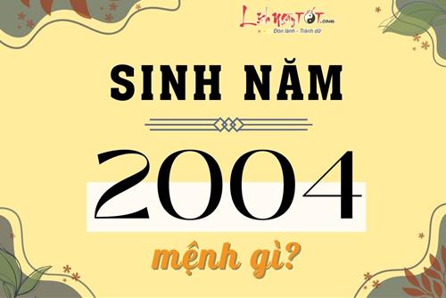Sinh năm 2004 mệnh gì, tuổi con gì, hợp tác làm ăn hay kết hôn với tuổi nào thì viên mãn?