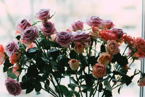 Tử vi thứ 7 ngày 13/5/2023 của 12 con giáp: Ngọ năng suất, Thân cần thận trọng