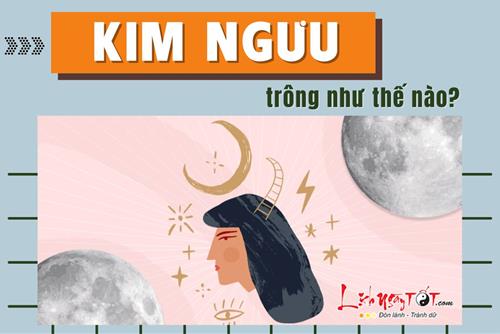 Một Kim Ngưu trông như thế nào? Điều gì tạo nên vẻ GỢI CẢM và THANH LỊCH của Kim Ngưu?