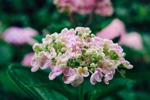 Tử vi thứ 4 ngày 17/5/2023 của 12 con giáp: Thân rực rỡ, Mão chớ tin người