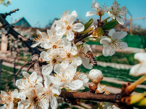 Tử vi thứ 4 ngày 12/4/2023 của 12 con giáp: Ngọ lương thiện, Mão rủng rỉnh tiền tiêu