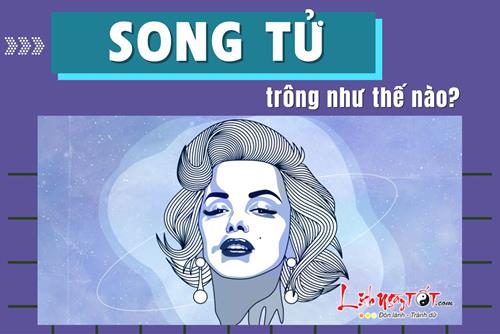 Một Song Tử trông như thế nào? Sức hút khó cưỡng của Song Tử đến từ đâu?