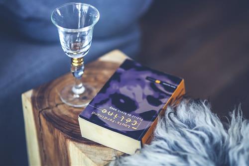 Tử vi thứ 3 ngày 6/6/2023 của 12 con giáp: Sửu gặp thị phi, Thân thăng tiến