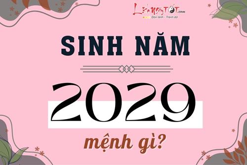 Sinh năm 2029 mệnh gì? Tuổi Kỷ Dậu hợp tuổi nào, vận mệnh ra sao?