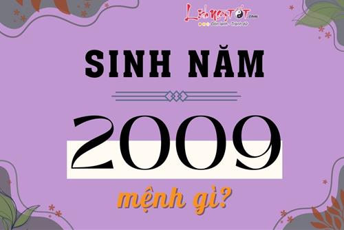 Sinh năm 2009 mệnh gì, tuổi con gì, hợp tác làm ăn với tuổi nào dễ phát tài?