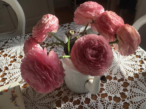 Tử vi thứ 2 ngày 5/6/2023 của 12 cung hoàng đạo: Ma Kết tự tin, Bảo Bình căng thẳng