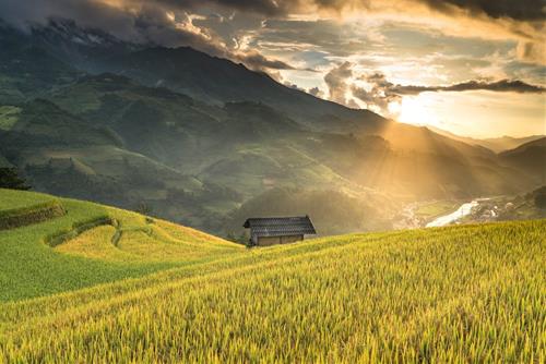 Tử vi thứ 5 ngày 6/7/2023 của 12 con giáp: Sửu gặp may, Mão hiểu nhầm