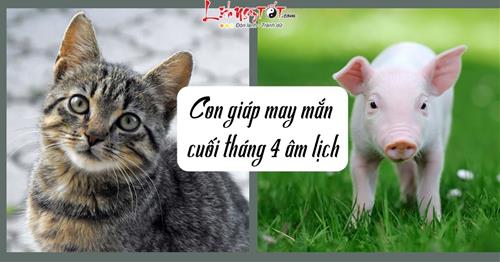 Từ giờ đến cuối tháng 4 âm, 4 tuổi này như cá gặp nước, làm ăn có LỘC, đi đâu cũng được BỀ trên gia hộ!