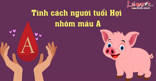 Tính cách người tuổi Hợi nhóm máu A: Ấm áp nhưng bướng số 1
