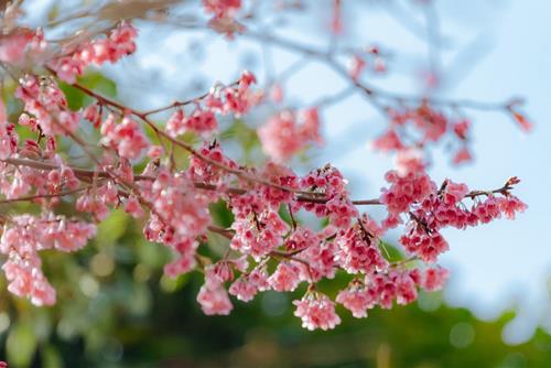 Tử vi thứ 7 ngày 22/7/2023 của 12 con giáp: Tý đắt khách, Ngọ hiền lành