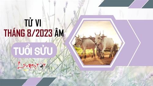 Tử vi tháng 8/2023 tuổi Sửu âm lịch: Cát tinh chiếu rọi, mọi việc hanh thông