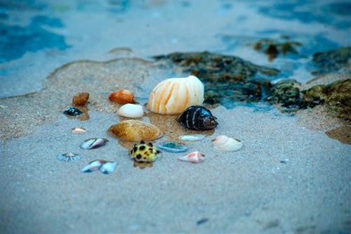 Tử vi thứ 4 ngày 26/7/2023 của 12 con giáp: Tý thận trọng, Sửu may mắn