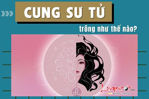 Một Sư Tử trông như thế nào? Điều gì tạo nên sự duyên dáng đầy mạnh mẽ của Sư Tử?