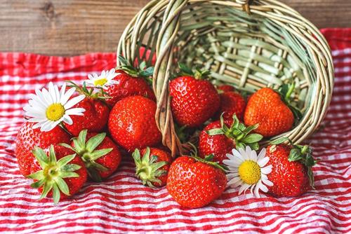 Tử vi thứ 6 ngày 11/8/2023 của 12 con giáp: Thìn có tranh cãi, Thân bị ngáng trở