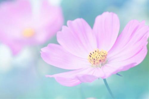 Tử vi thứ 5 ngày 24/8/2023 của 12 con giáp: Tuất gặp may, Ngọ tức giận