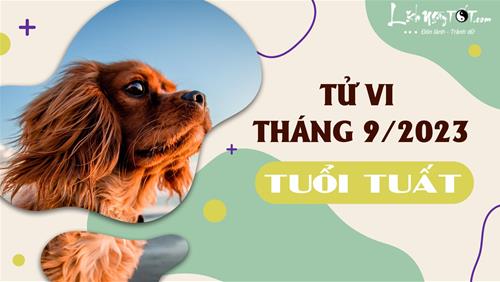 Tử vi tháng 9/2023 tuổi Tuất âm lịch: Thi cử may mắn, cẩn thận khi đi xa