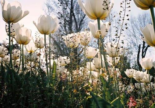 Tử vi thứ 3 ngày 5/9/2023 của 12 con giáp: Tuất vui tính, Tý chu đáo