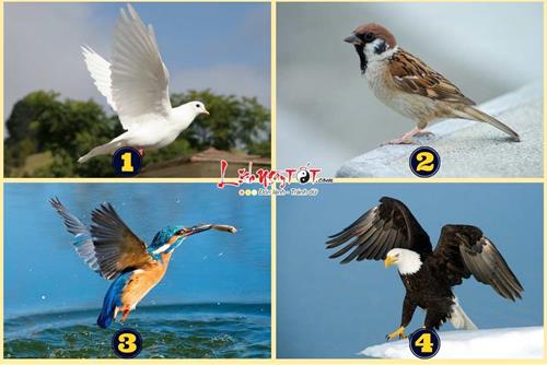 Trắc nghiệm tâm lý: Lời khuyên giúp bạn đến gần với THẦN TÀI hơn