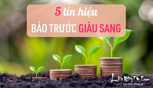 5 tín hiệu báo trước sự THỊNH VƯỢNG, GIÀU SANG đang đến rất gần bạn