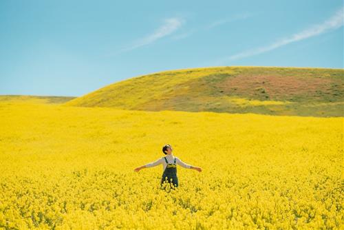 Tử vi 5 ngày 10/8/2023 của 12 cung hoàng đạo: Bạch Dương tự do, Song Tử nhanh chán