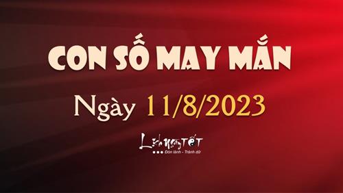 Con số may mắn hôm nay 11/8/2023 theo tuổi: Số LỘC cho vạn sự như mơ!