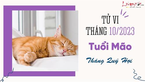 Tử vi tháng 10/2023 tuổi Mão âm lịch: Vận khí ở xu thế đi lên, nhiều thay đổi tích cực