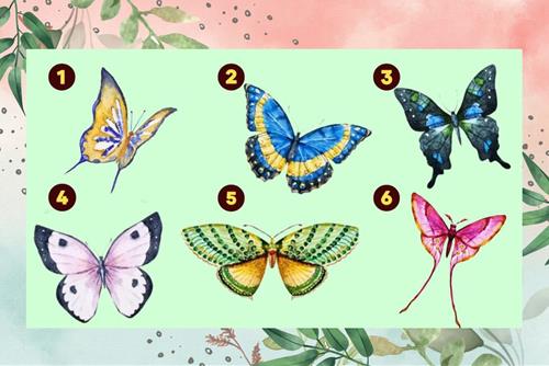 Trắc nghiệm tâm lý: Loại bướm bạn chọn tiết lộ nguyên nhân khiến bạn hay làm thất thoát tiền bạc