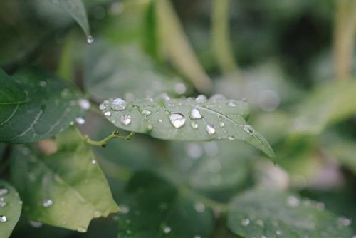 Tử vi thứ 7 ngày 23/9/2023 của 12 cung hoàng đạo: Hổ Cáp đau lòng, Bảo Bình khỏe mạnh