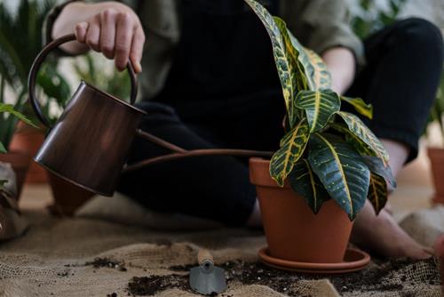 Tử vi thứ 5 ngày 5/10/2023 của 12 con giáp: Dậu rủng rỉnh, Sửu lười biếng