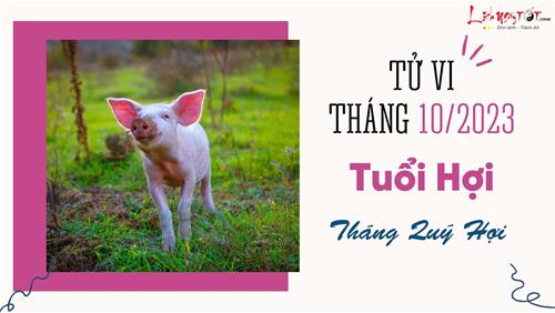Tử vi tháng 10/2023 tuổi Hợi âm lịch: Thiếu sự hăng hái, thái độ uể oải