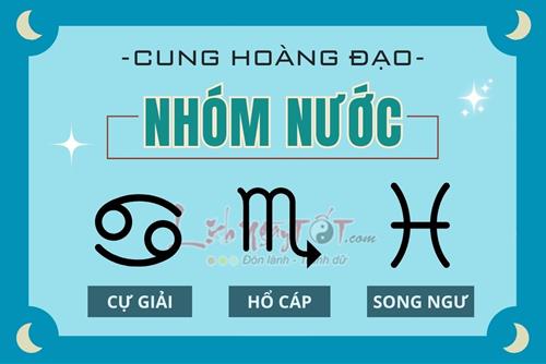 Cung Nước gồm những cung nào? Giải mã tất tần tật về đặc điểm, tính cách của nhóm Nước