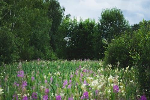 Tử vi tuần mới của 12 con giáp từ 29/1 – 4/2/2024: Mão gặp trở ngại, Tuất lao đao