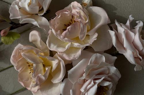 Tử vi thứ 5 ngày 8/2/2024 của 12 con giáp: 29 Tết ai hanh thông, thuận lợi nhất?