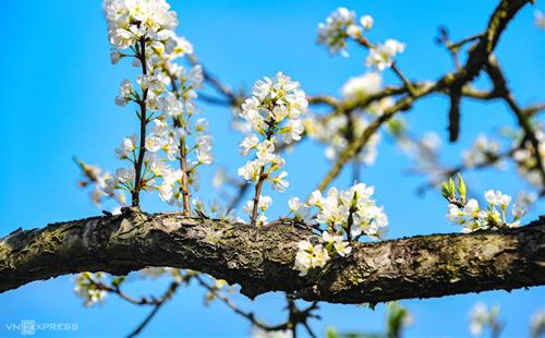 Tử vi thứ 4 ngày 17/1/2024 của 12 cung hoàng đạo: Sư Tử khó ở, Bảo Bình vui vẻ