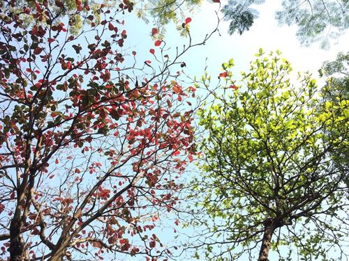 Tử vi thứ 2 ngày 29/1/2024 của 12 con giáp: Mão gặp rắc rối, Ngọ đón lộc lá