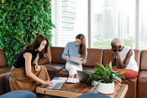 Cải thiện phong thủy 12 con giáp năm 2024 bằng cách này sẽ tha hồ hút lộc