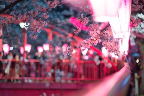 Tử vi chủ nhật ngày 4/2/2024 của 12 con giáp: Dần mâu thuẫn, Dậu sáng suốt