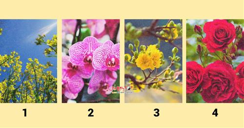 Trắc nghiệm: Bức ảnh bạn thích nhất sẽ tiết lộ tin TỐT và tin XẤU trong năm 2024 của bạn là gì!