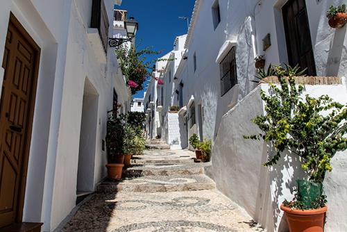 Tử vi Thứ 3 ngày 16/1/2024 của 12 cung hoàng đạo: Sư Tử sáng tạo, Song Ngư suôn sẻ